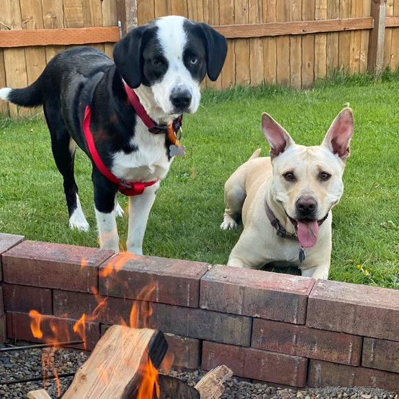 Meet your Posher, Kana - Picture 1 of 1